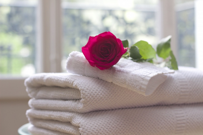 hotel-ST SAUVEUR SUR TINEE-min_towel_rose_clean_care_salon_spa_white_bath-731641